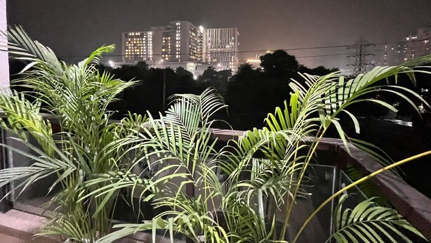 Un balcón con plantas en macetas y vistas de edificios iluminados de noche.