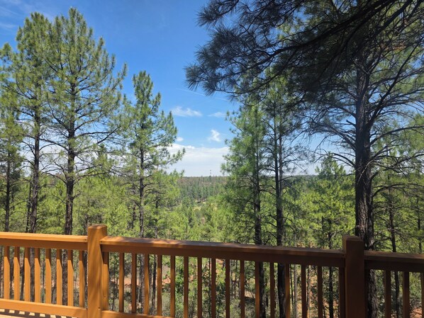 Une terrasse en bois offrant une vue sur une forêt de pins.