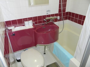 Bathroom features a wall-mounted sink, toilet, and shower area with a small shelf for toiletries.