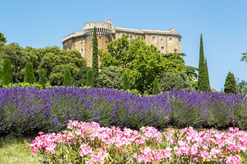 The Little House on the Hill with Pool and Petanque Court – Drôme Provençale