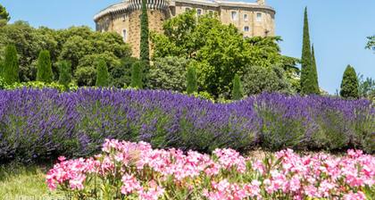 The Little House on the Hill with Pool and Petanque Court – Drôme Provençale