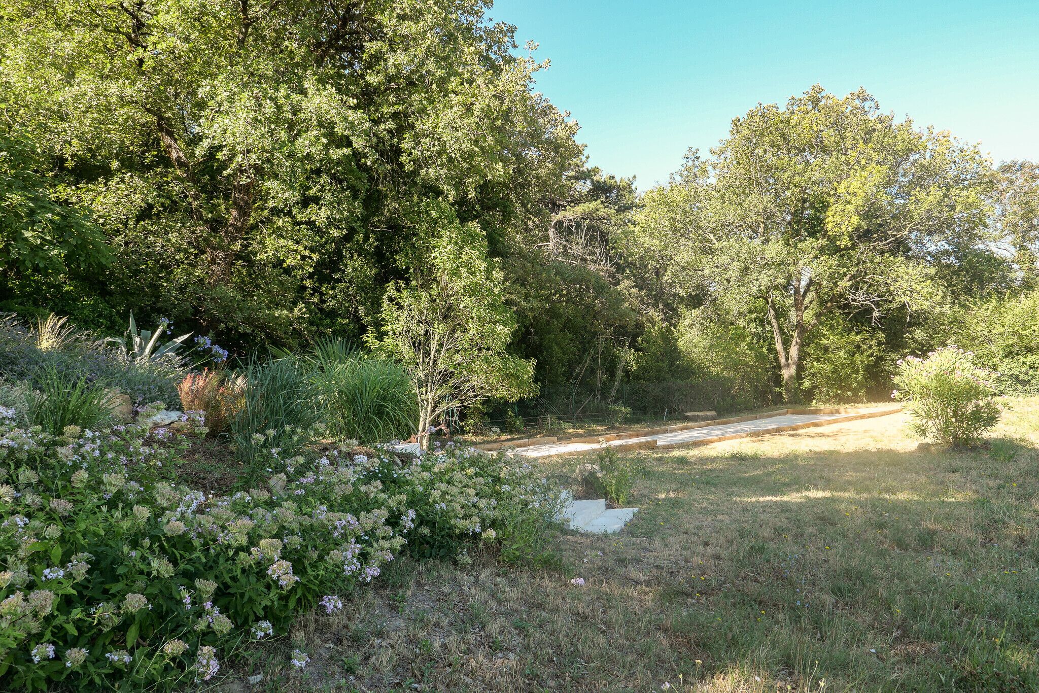 Jardí amb diverses plantes i arbres, un camí i una petita construcció blanca.