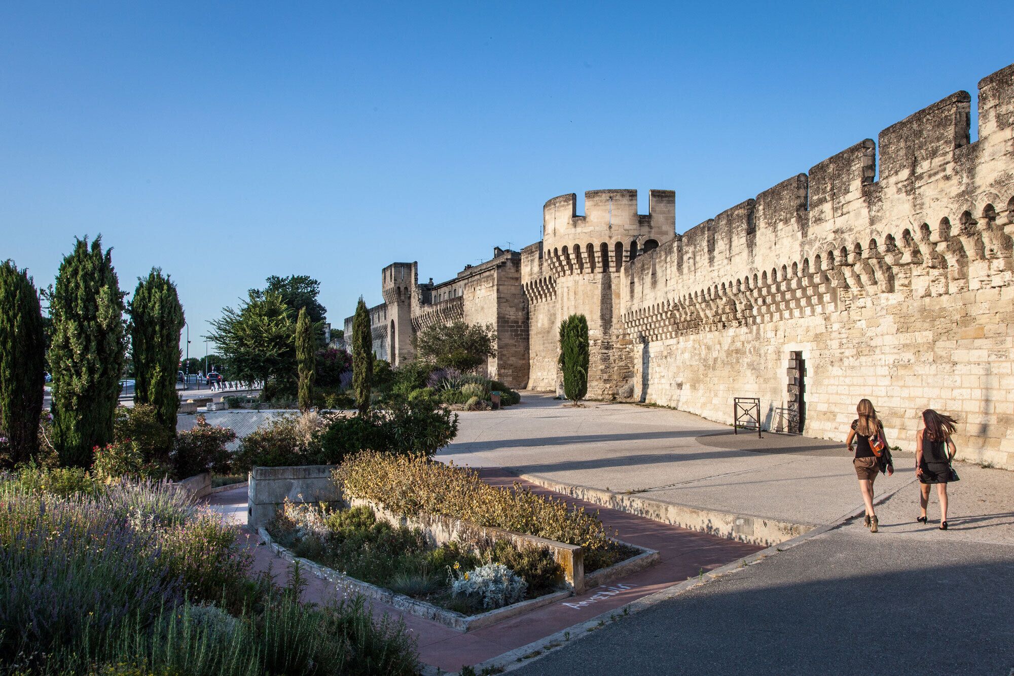 Muralla de piedra histórica con una torre, rodeada de vegetación y una zona pavimentada.
