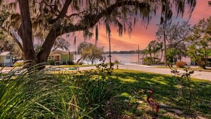 A waterfront property with a large tree, a flamingo statue, and a view of the water.