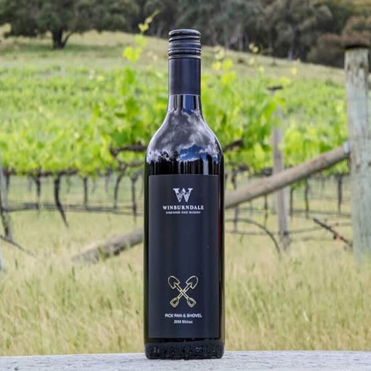A wine bottle with a vineyard in the background.