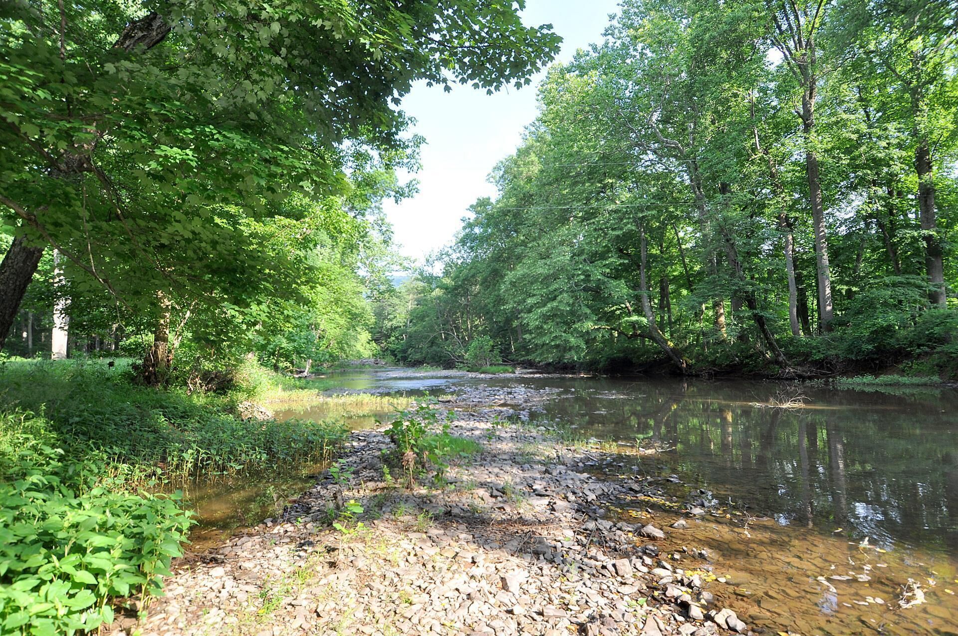 A natural landscape with a river, dense greenery, and trees.