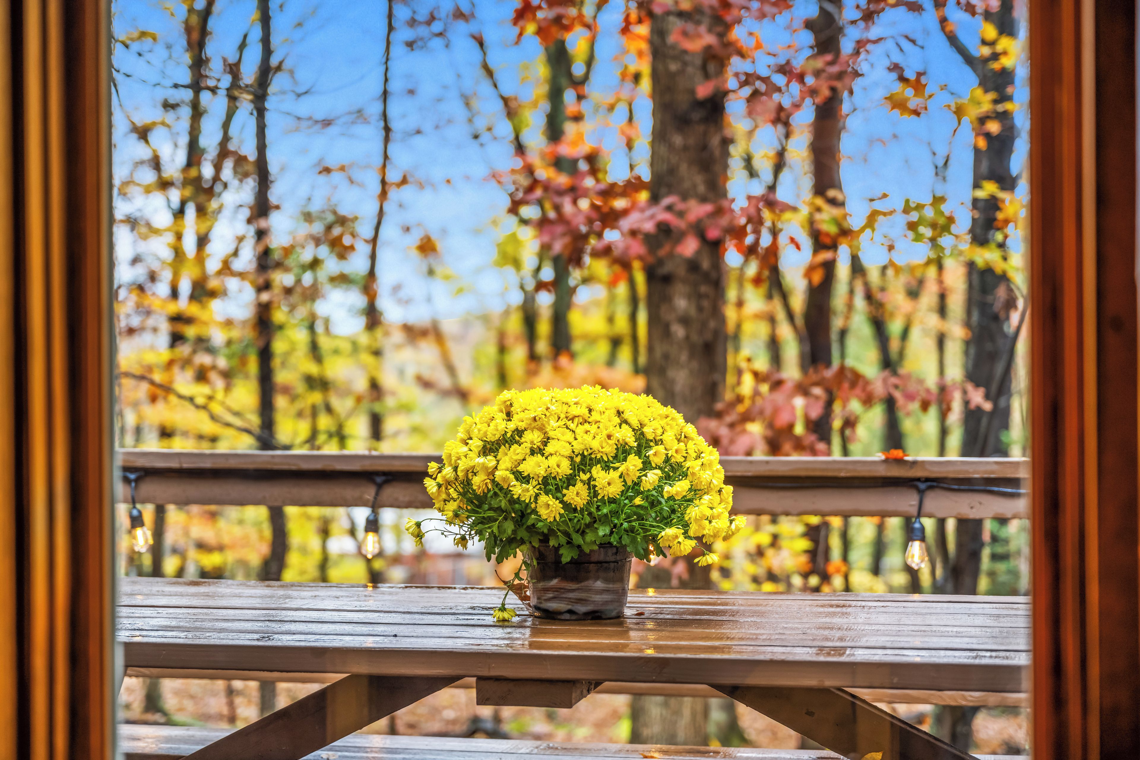 A wooden picnic table with a potted yellow flower arrangement.