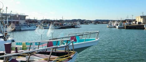 Marina