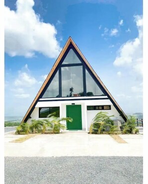 Contemporary building with a green door, surrounded by a landscaped area with palm-like plants.