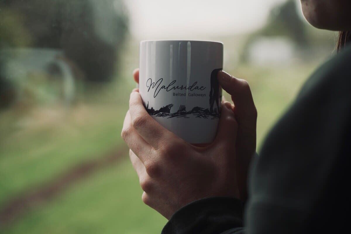 Une personne tenant une tasse sur laquelle est inscrit le texte « Maluridae Belted Galloways ».