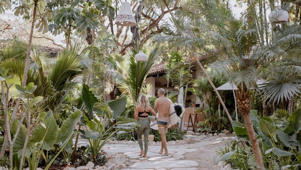 Un sentier bordé de plantes tropicales et une structure blanche surmontée d’un toit conique.