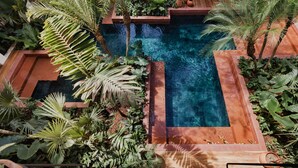 Une piscine sur le toit, entourée d’une végétation tropicale luxuriante et agrémentée d’une terrasse en bois.