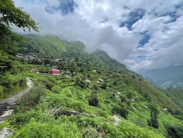 Property grounds - A Himalayan wood house (Taknaur Renge)