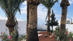 Un patio con palmeras y flores rosadas, rodeado de muros blancos.