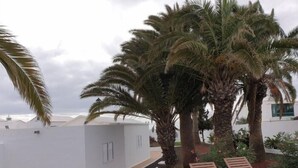 Un jardín en la azotea con palmeras, un cactus y dos sillones de madera.
