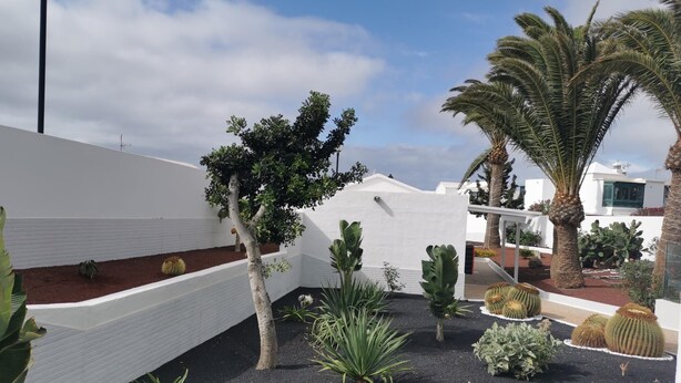 A rooftop garden with various plants, a white wall, and a clear sky. - One bedroom apartment with balcony (TAHICHE)