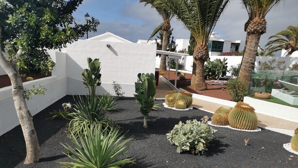 A landscaped outdoor area with various plants, including cacti and palm trees, and a white wall in the background. - One bedroom apartment (TAHICHE)