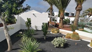 A landscaped outdoor area with various plants, including cacti and palm trees, and a white wall in the background. - One bedroom apartment with terrace. (TAHICHE)