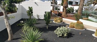 One bedroom apartment with terrace.