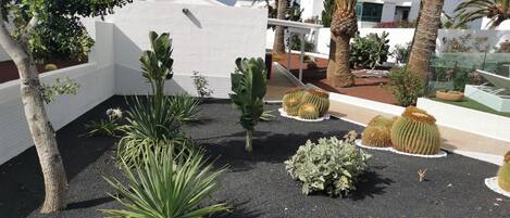 المنطقة المحيطة بالمنشأة