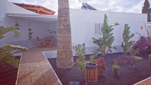 Un patio con una mesa y sillas de madera, una palmera y diversas plantas.