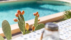 Vista della piscina con una pianta di cactus e un tavolo con tovaglia fantasia.
