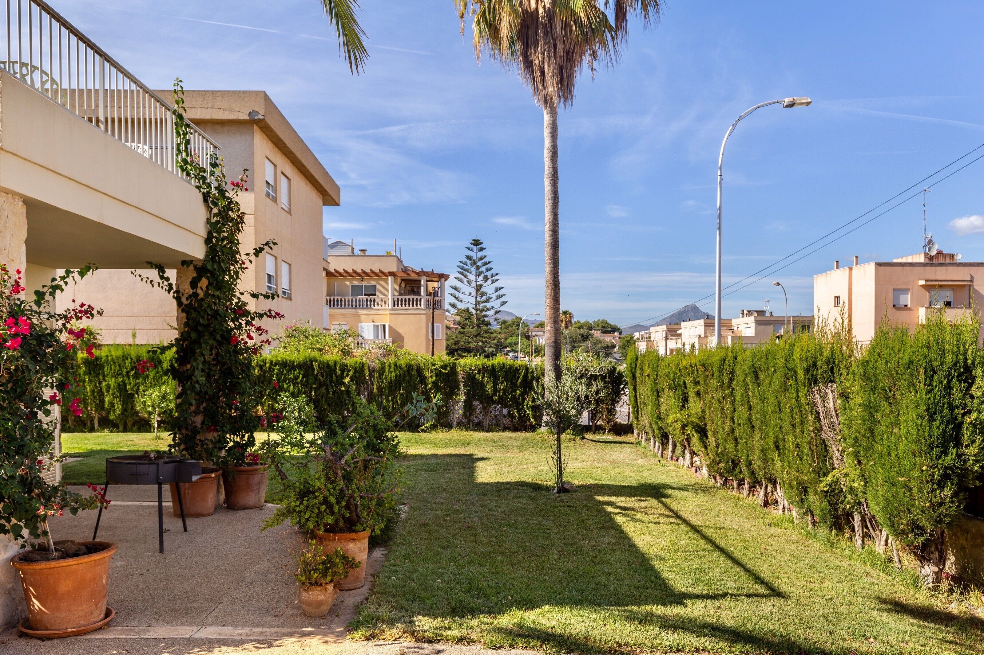 A residential area with a well-maintained lawn, potted plants, and a tall palm tree.