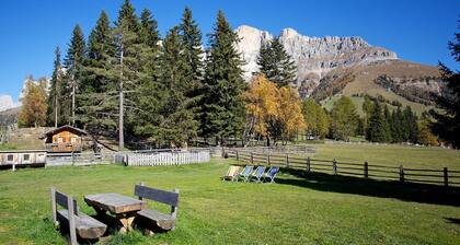 Apartment "Angerle Alm Apt Rosengarten" with Private Balcony, Shared Garden and Wi-Fi
