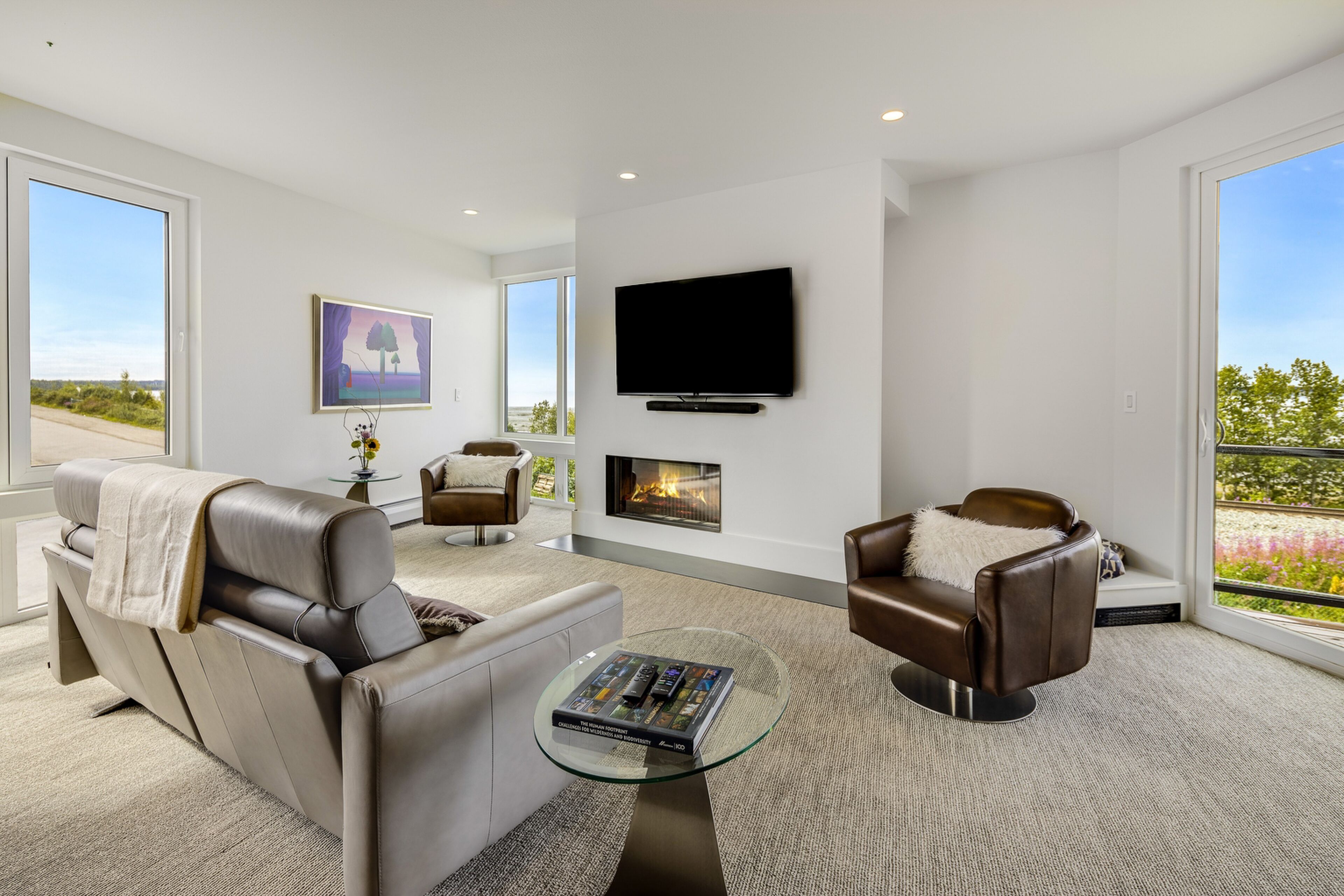 Televisión, chimenea y libros 