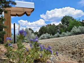 المنطقة المحيطة بالمنشأة