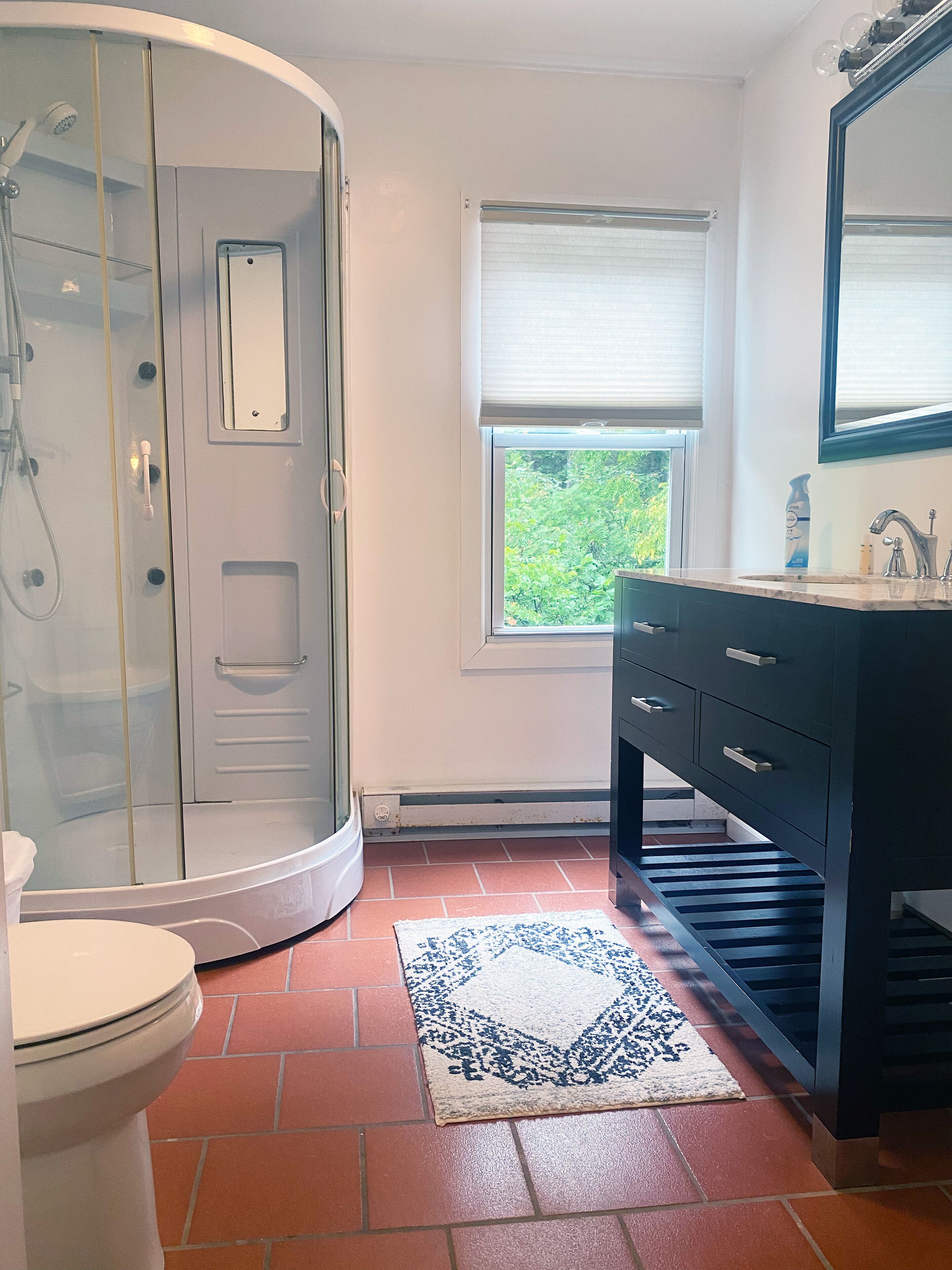 Shower, hair dryer, soap, toilet paper