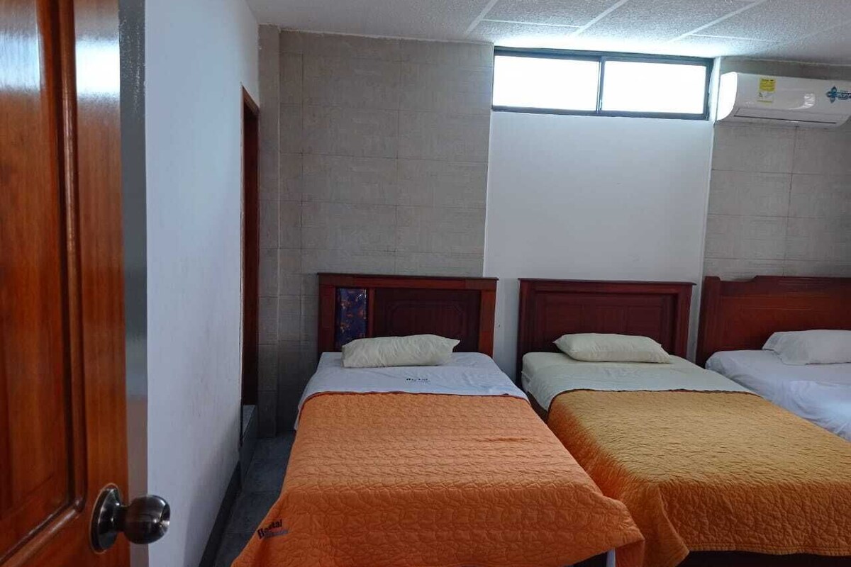 Down comforters, WiFi (free), bed sheets