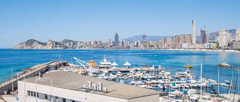 A marina with boats docked, a building labeled "CAFETERIA," and a city skyline in the background.