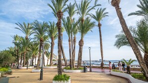 A promenade lined with palm trees, a waterfront view, and a paved walkway. - La Rosita Old Town Apartments B-19 (Benidorm)