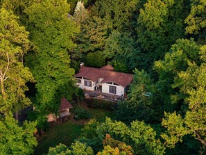 A single-story house surrounded by dense forest. - Skyland Hideaway | Mountain Cabin w/ Hot Tub (Linden)