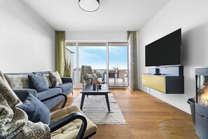 Télévision, cheminée, chaîne hi-fi