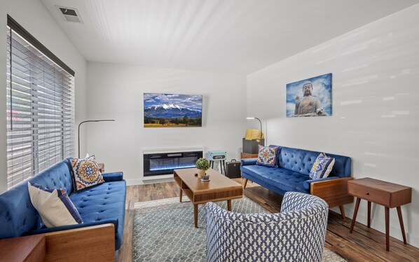 Smart TV, fireplace, books, music library