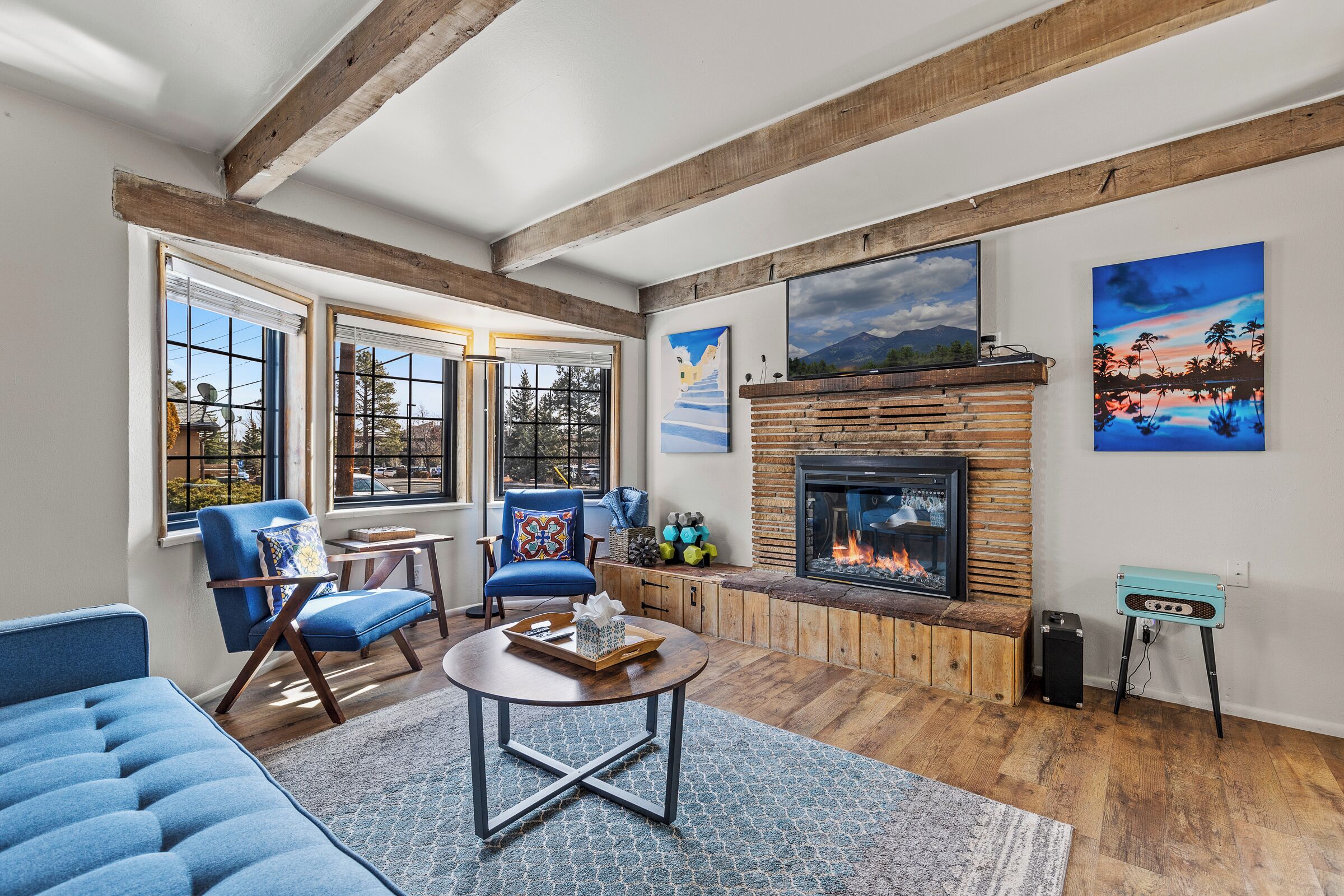 Smart TV, fireplace, books, music library