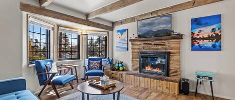 Smart TV, fireplace, books, music library