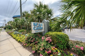 Une enseigne indiquant « Sea Cabin Cherry Grove », avec un jardin devant.