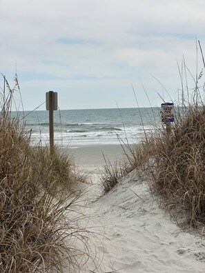 On the beach