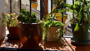 A balcony with potted plants and a view of a building with balconies and railings. - Typical Andalusian house in the heart of the historic center (Almuñécar)