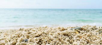 Nonsmoking standard twin room without meals A l / Shimajiri-gun Okinawa