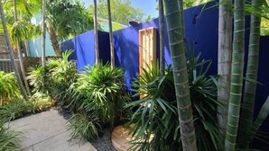 Ein üppiger tropischer Garten mit einem blauen Zaun, Bambuspflanzen und einem Betonweg.