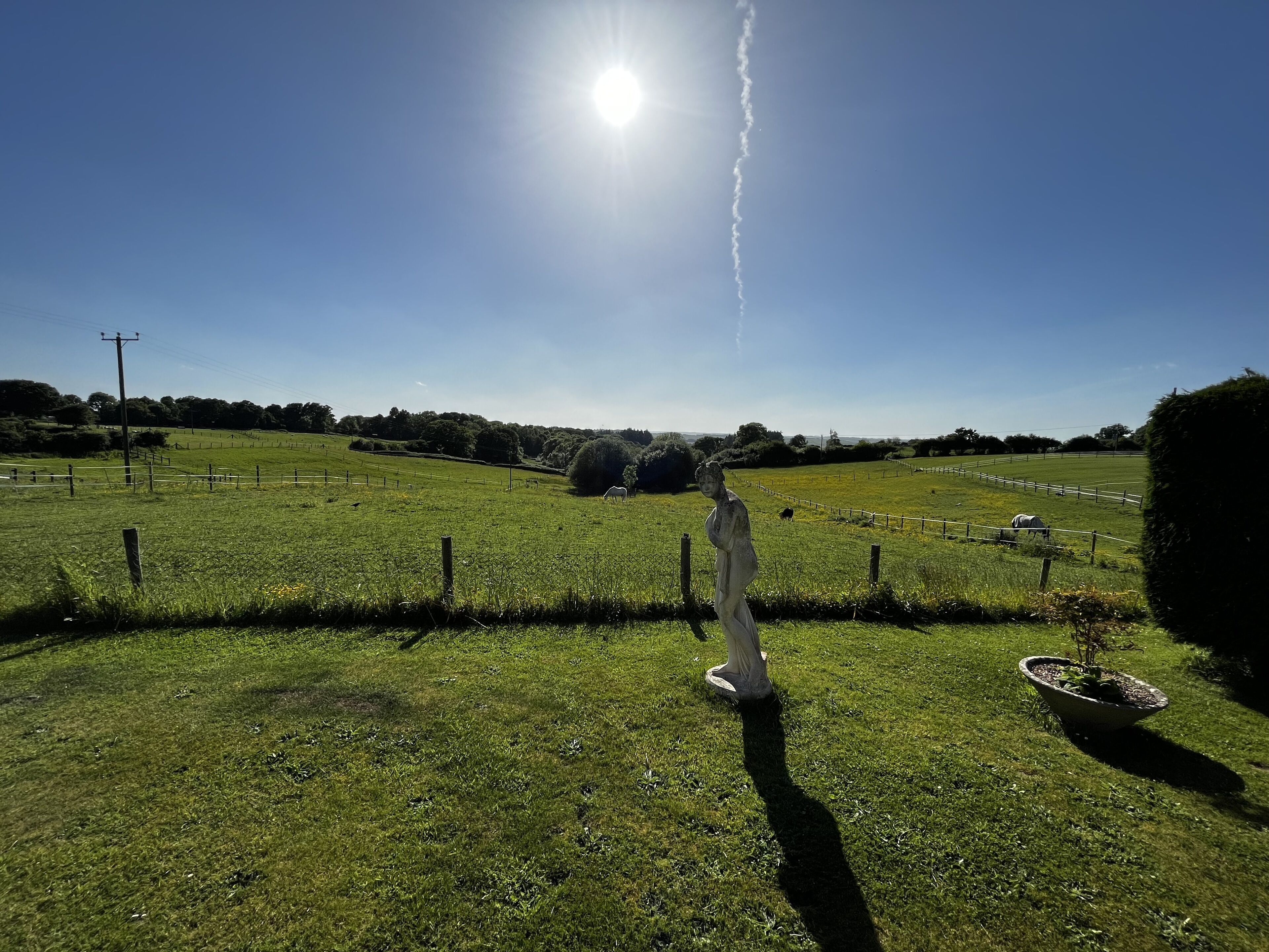 A grassy field with a statue in the foreground, a fence, and a clear sky.