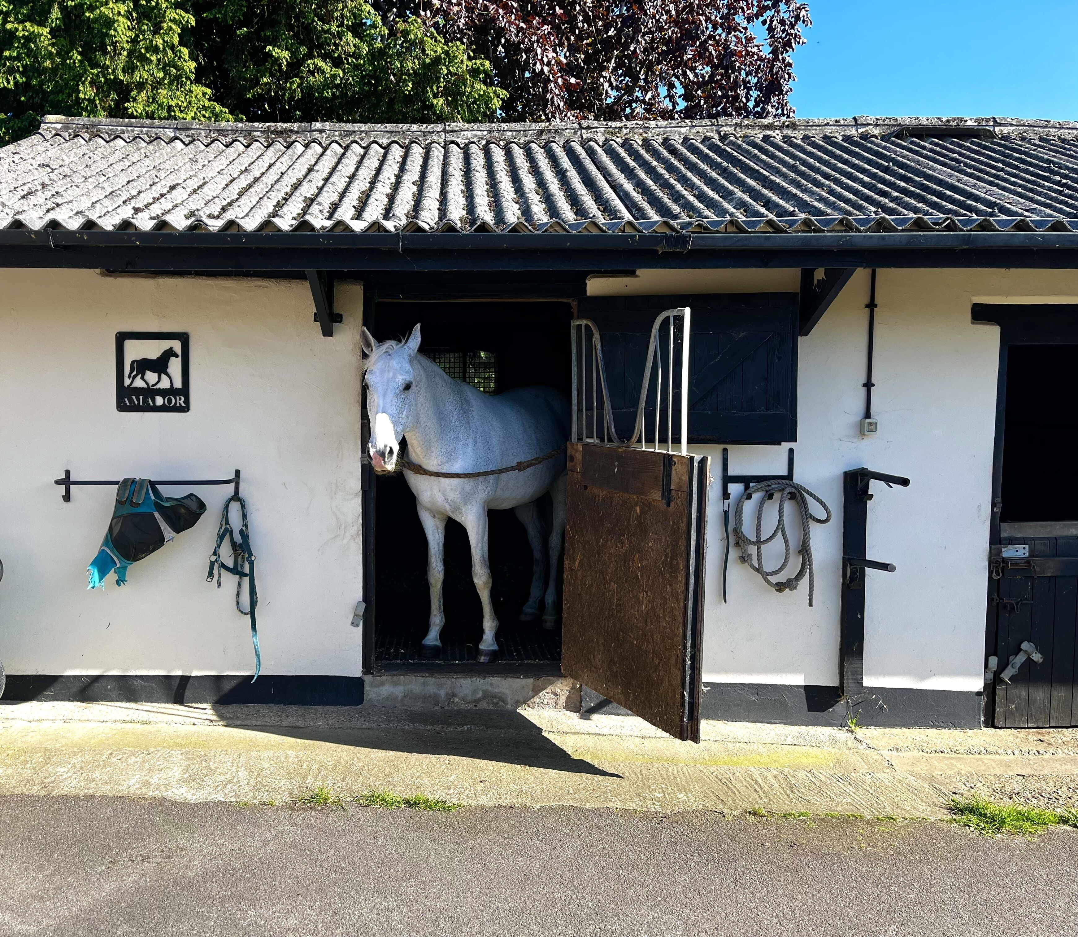 Een stal met een paard binnenin, een bord met een paardensilhouet en een paardendeken hangt aan de muur.