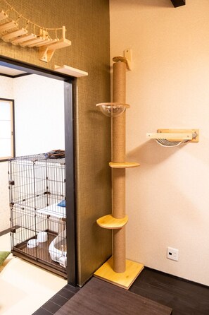 A cat tree with multiple levels and a scratching post against a wall.