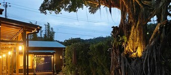 1 building reserved 4 twin rooms Total 12 people O / Amami Kagoshima