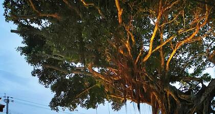 1 building reserved 4 twin rooms Total 12 people O / Amami Kagoshima