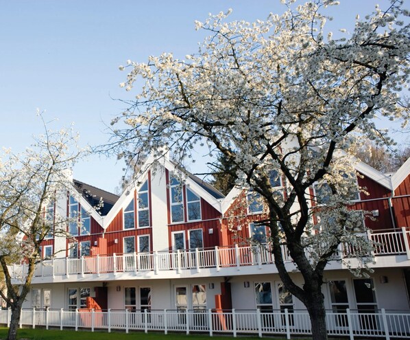 A multi-story building with a red and white facade, balconies, and a tree with white blossoms in the foreground.